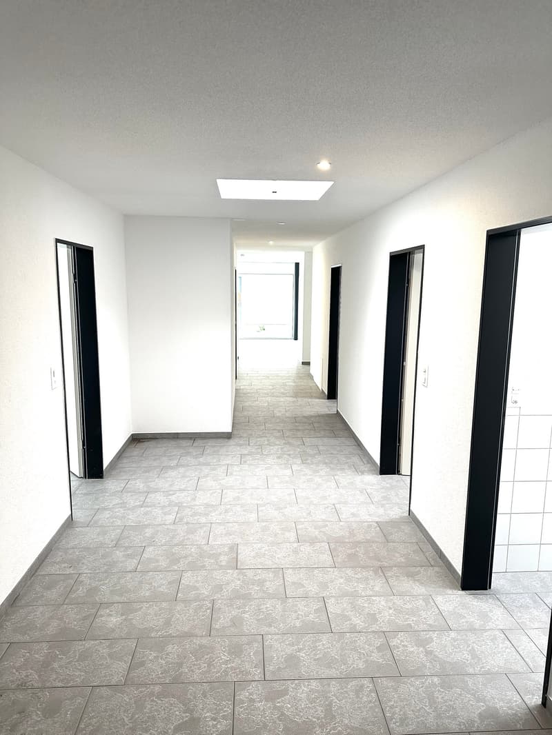 Grosszügige 6-Zimmer-Attikawohnung mit Cheminée und grosser Terrasse (6)