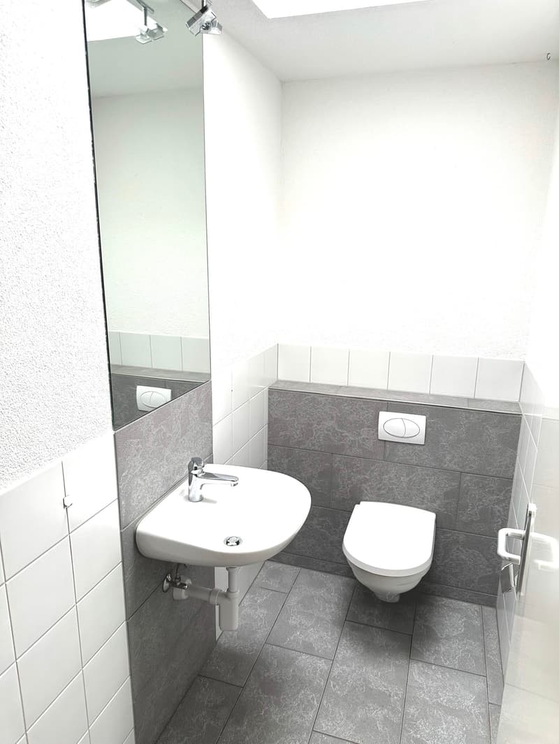 Grosszügige 6-Zimmer-Attikawohnung mit Cheminée und grosser Terrasse (9)