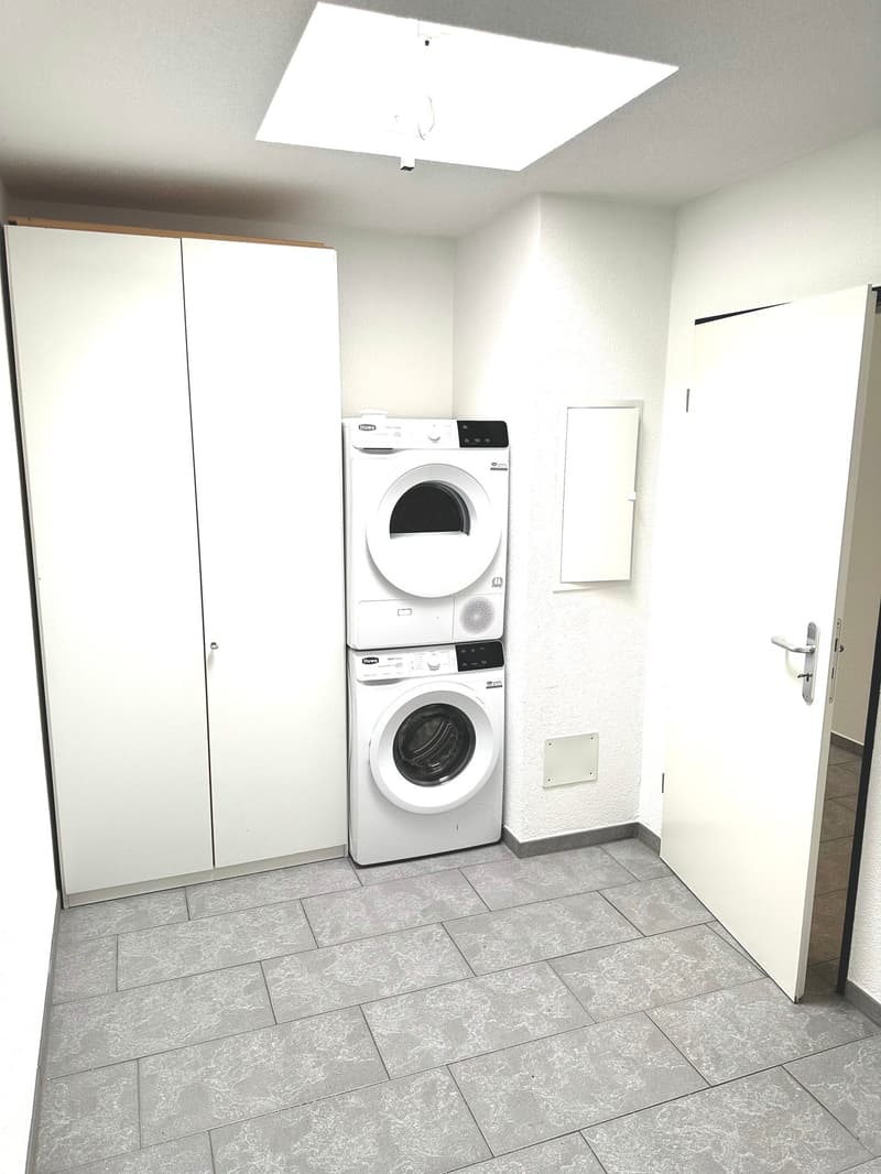 Grosszügige 6-Zimmer-Attikawohnung mit Cheminée und grosser Terrasse (11)