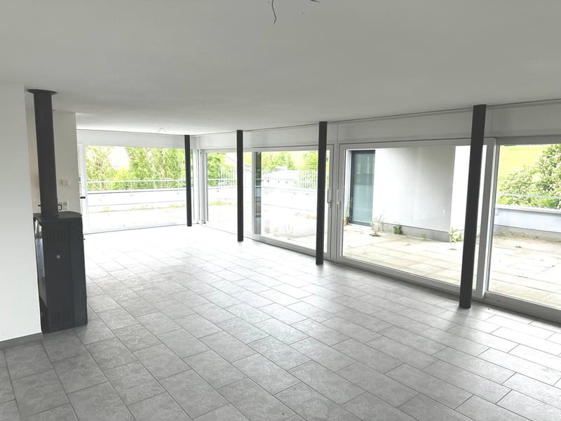 Grosszügige 6-Zimmer-Attikawohnung mit Cheminée und grosser Terrasse (1)