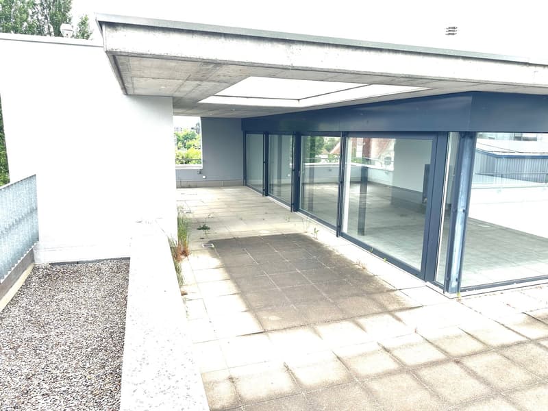 Grosszügige 6-Zimmer-Attikawohnung mit Cheminée und grosser Terrasse (14)