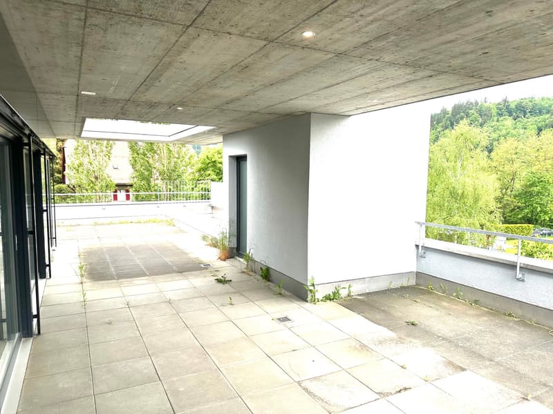 Grosszügige 6-Zimmer-Attikawohnung mit Cheminée und grosser Terrasse (15)