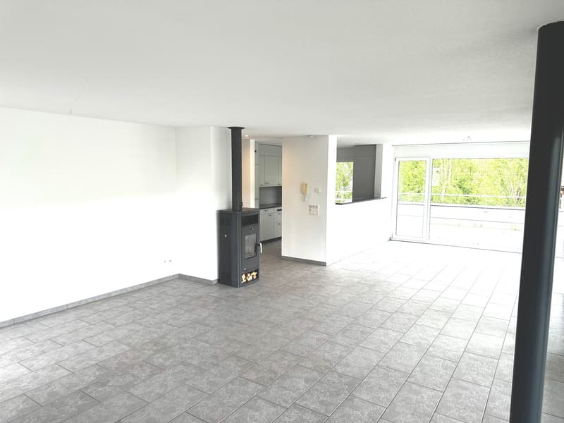 Grosszügige 6-Zimmer-Attikawohnung mit Cheminée und grosser Terrasse (2)