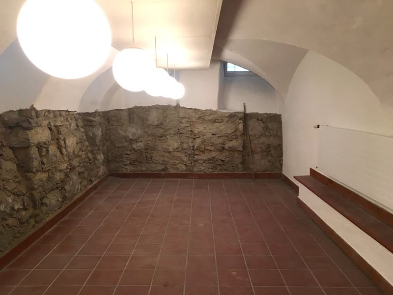 Atelier/Hobbyraum mit Heizung und WC (2)