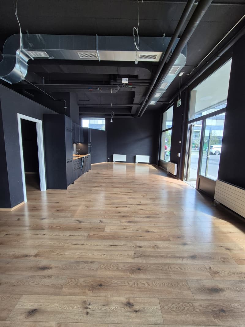 Commercial space for rent in Basel (3)