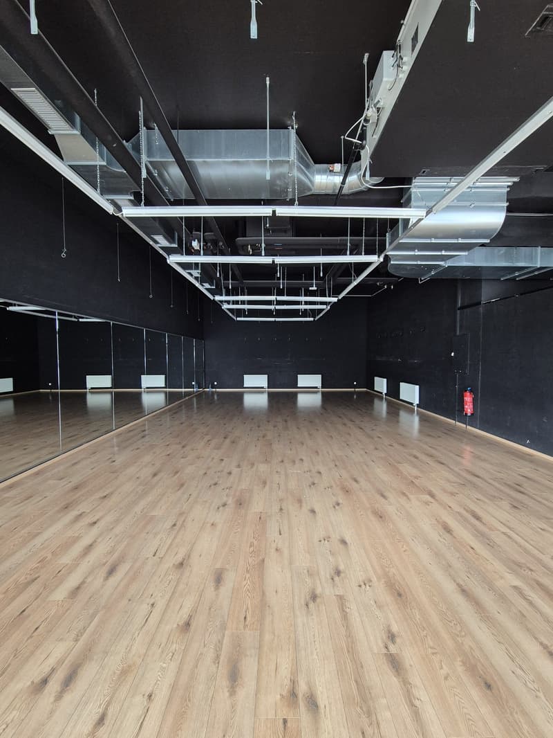 Commercial space for rent in Basel (2)