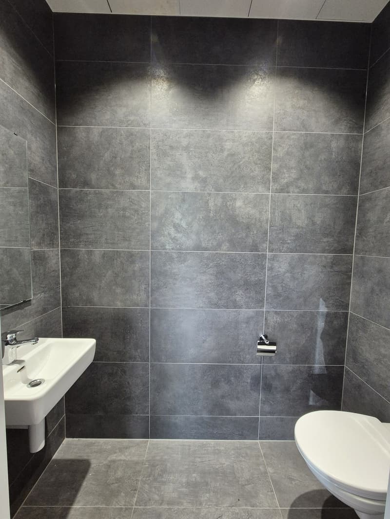 Commercial space for rent in Basel (5)