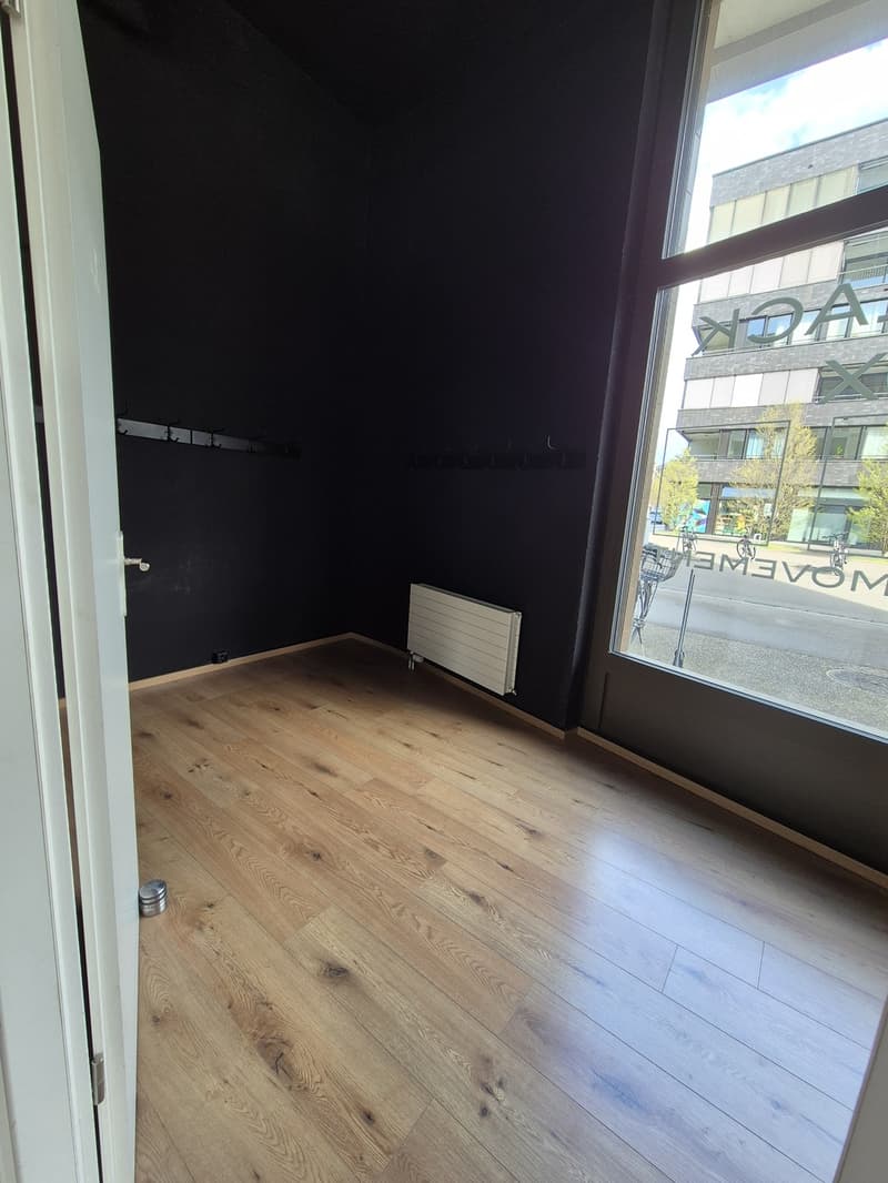 Commercial space for rent in Basel (4)