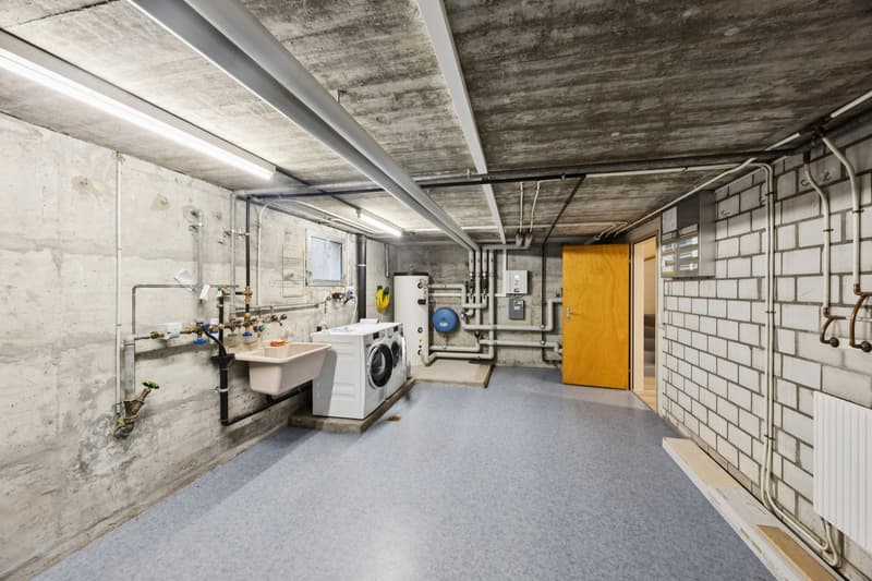 Casa unifamiliare ristrutturata di 6,5 locali con giardino (9)