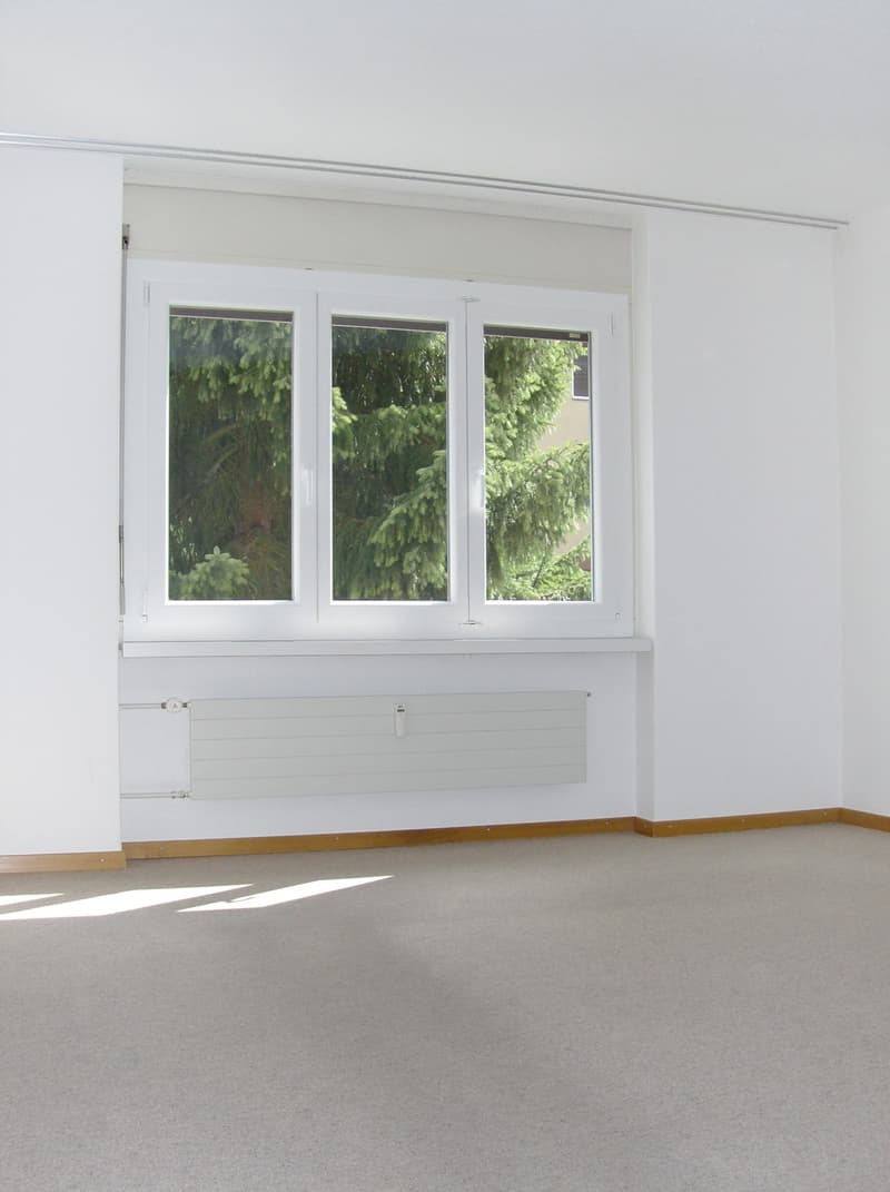 Gemütliches Wohnen in Langenthal (3)