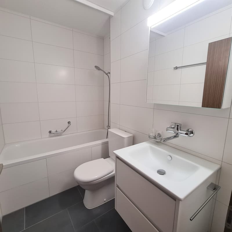 Gemütliches Wohnen in Langenthal (2)