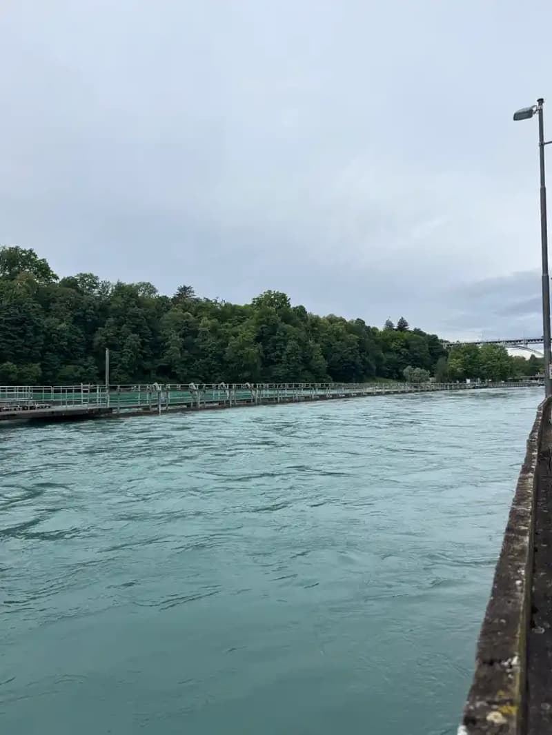 Vivre sur l'Aare - appartement de 3,5 pièces élégant avec grande terrasse (9)