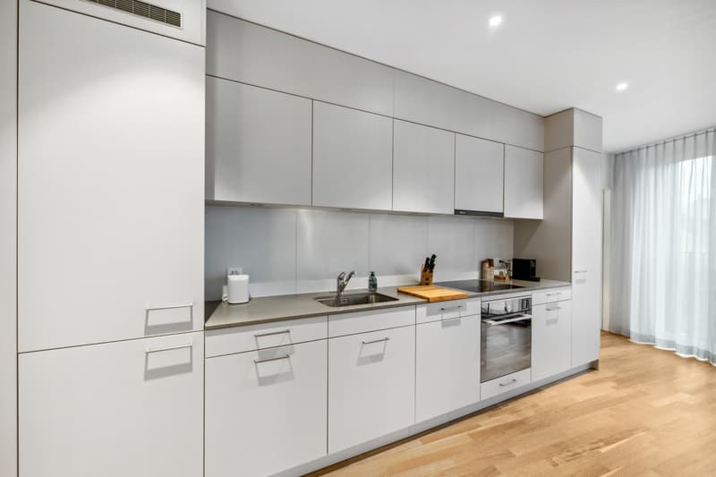 Appartamento 3.5 locali nella Torre Münchenstein BL (8)