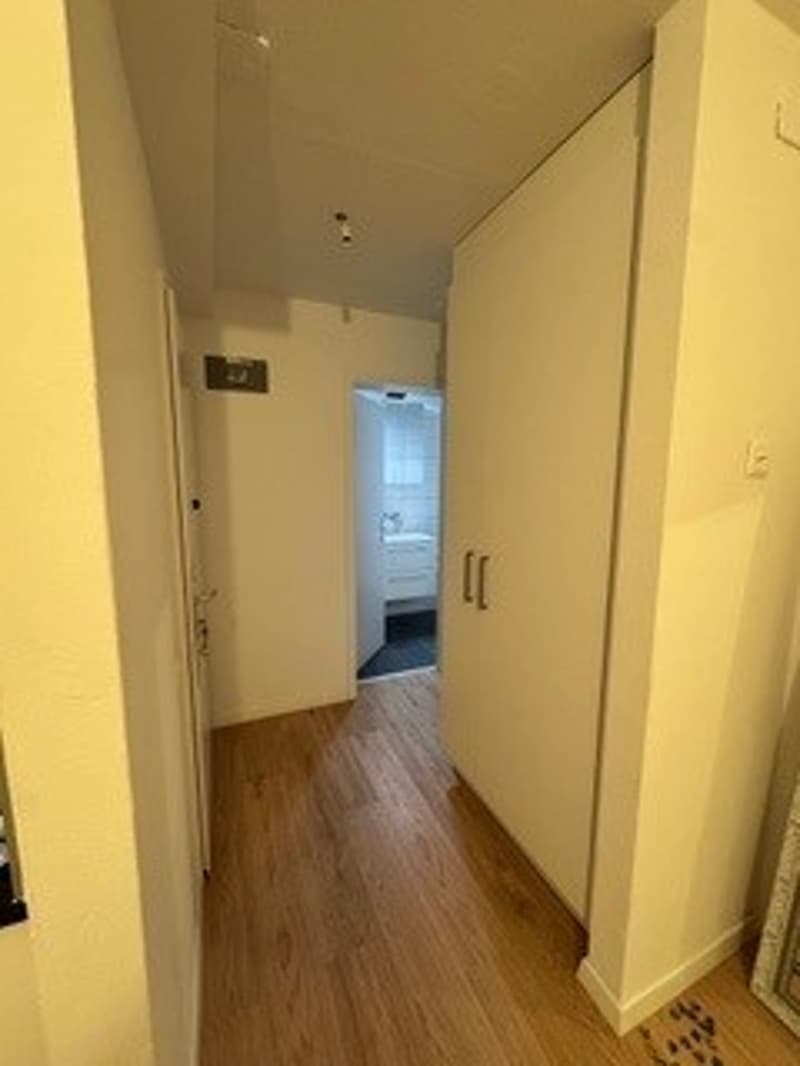 Komplett renoviert - Schönes Studio in einer ruhigen Lage (5)