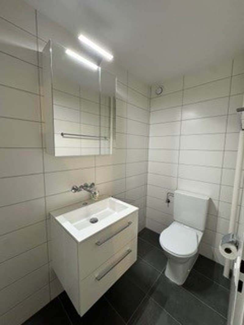 Komplett renoviert - Schönes Studio in einer ruhigen Lage (3)