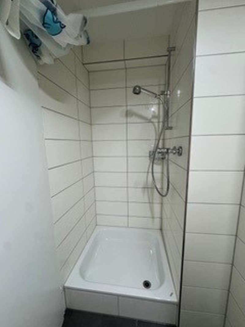Komplett renoviert - Schönes Studio in einer ruhigen Lage (4)