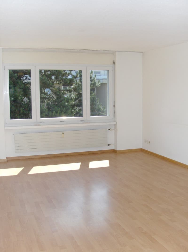 Appartamento di 2 locali in affitto a Langenthal (3)