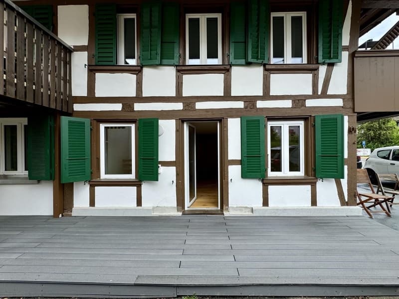 Charming 2-room apartment in a renovated farmhouse (1)