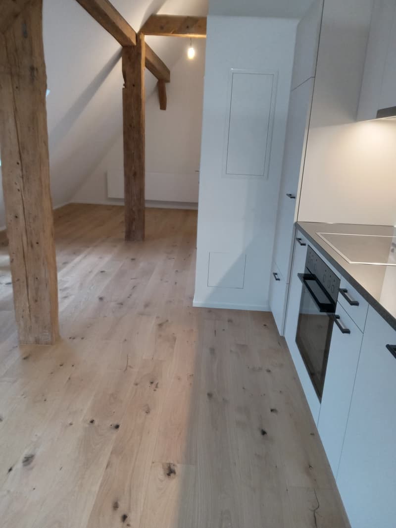 Charming 2-room apartment in a renovated farmhouse (2)