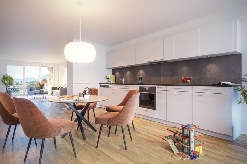 Modern living at Brühlstrasse 7 in Grenchen (1)