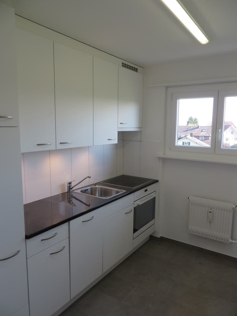 Immediate tenant sought! (1)