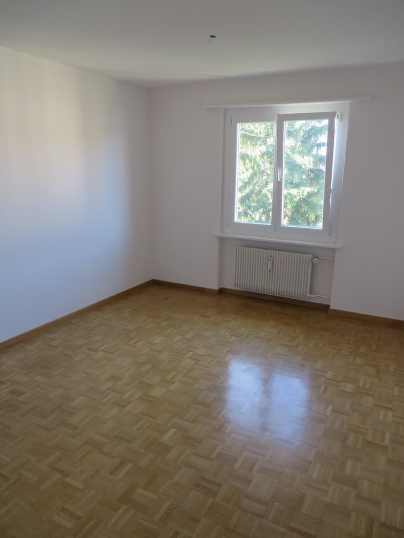 Immediate tenant sought! (3)