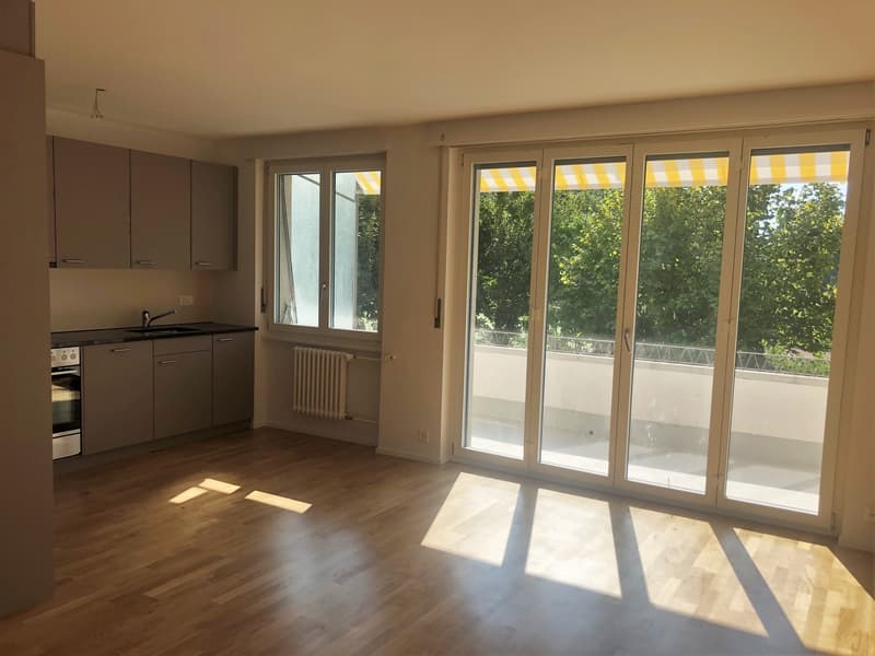 Sanierte Wohnung mit Balkon und Blick ins Grüne (3)