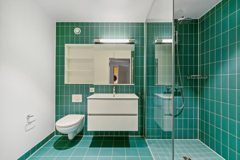Moderne 2.5-Zimmerwohnung im Tower Münchenstein BL (6)