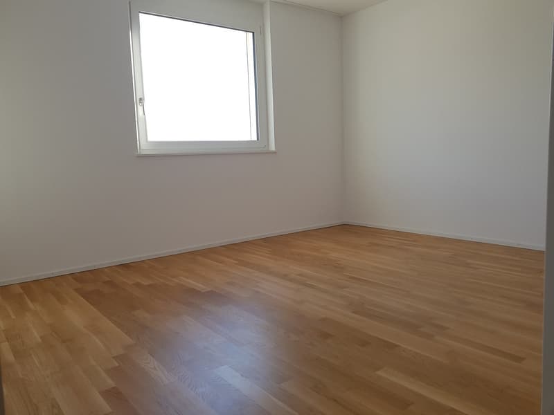 Ihr neues Zuhause?! (3)
