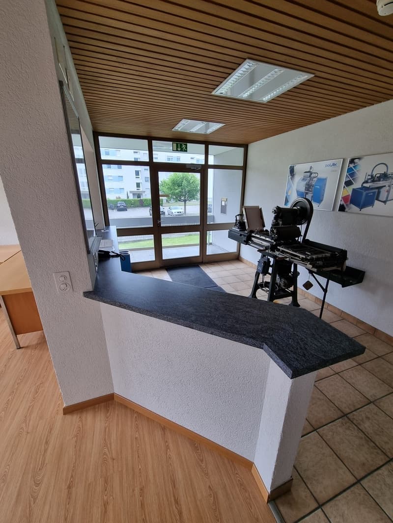 Büro- / Gewerbeliegenschaft in Schönenwerd SO (3)