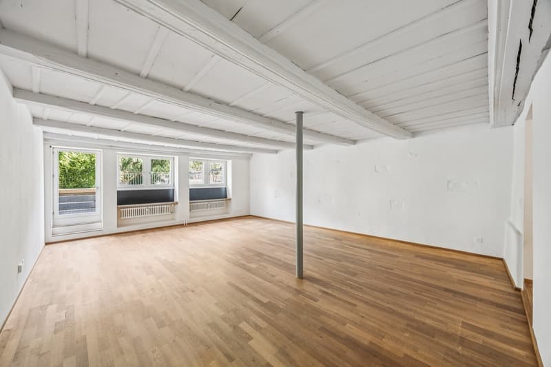 Wohnen an der Aare stilvolle 2.0-Zimmerwohnung (2)