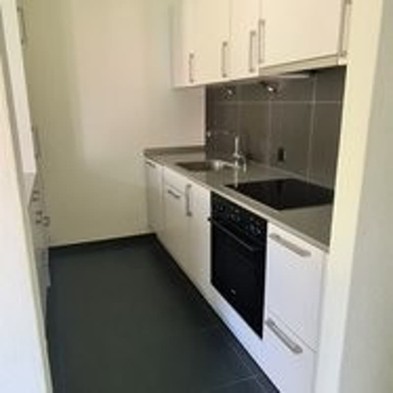 Charmante 1.5-Zimmerwohnung in Nidau sucht neue Mieter! (2)