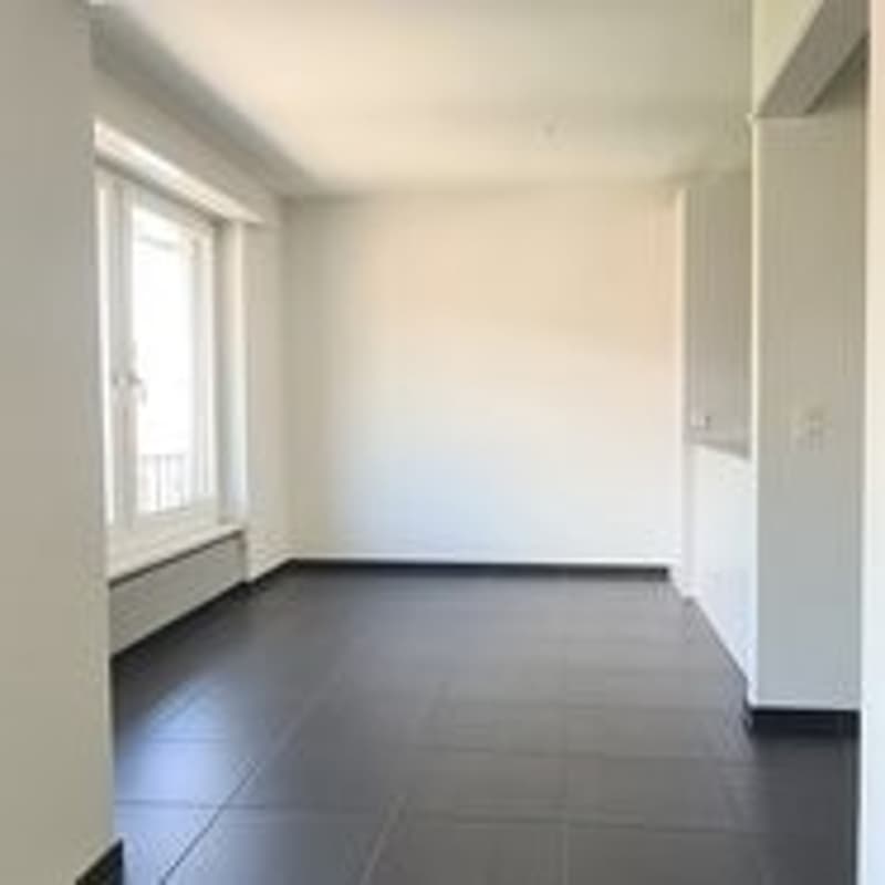 Charmante 1.5-Zimmerwohnung in Nidau sucht neue Mieter! (5)