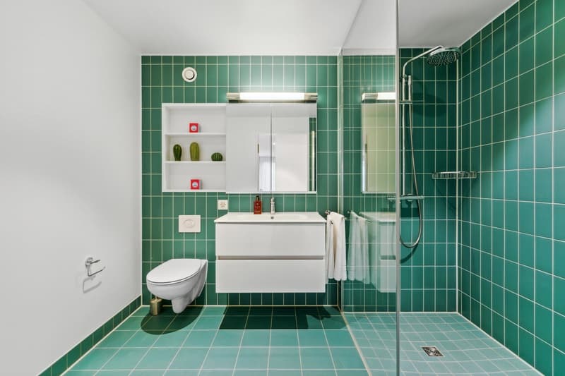 Moderne 4.5 Zimmerwohnung im Tower Münchenstein (7)