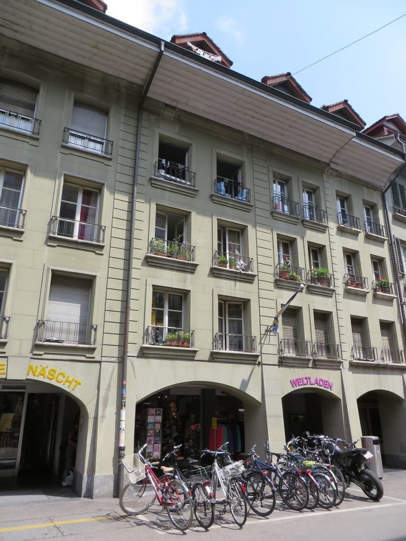 Nachmieter gesucht - Lust auf Altbauwohnung mit Charme? (1)