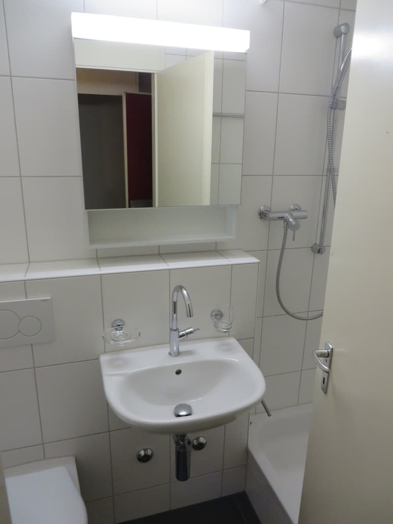 Nachmieter gesucht - Lust auf Altbauwohnung mit Charme? (5)