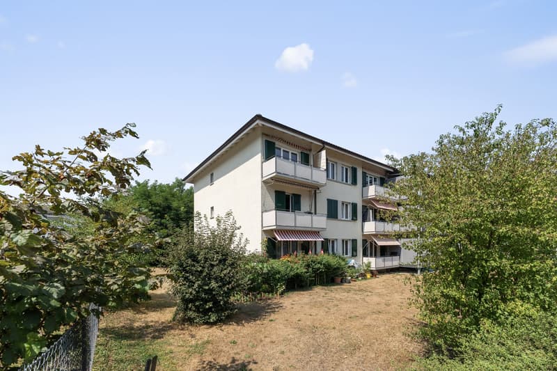 Vollvermietetes, einseitig angebautes und gut unterhaltenes Mehrfamilienhaus (1)