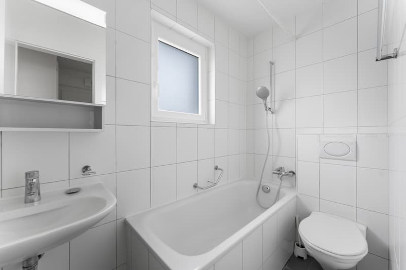 Vollvermietetes, einseitig angebautes und gut unterhaltenes Mehrfamilienhaus (8)