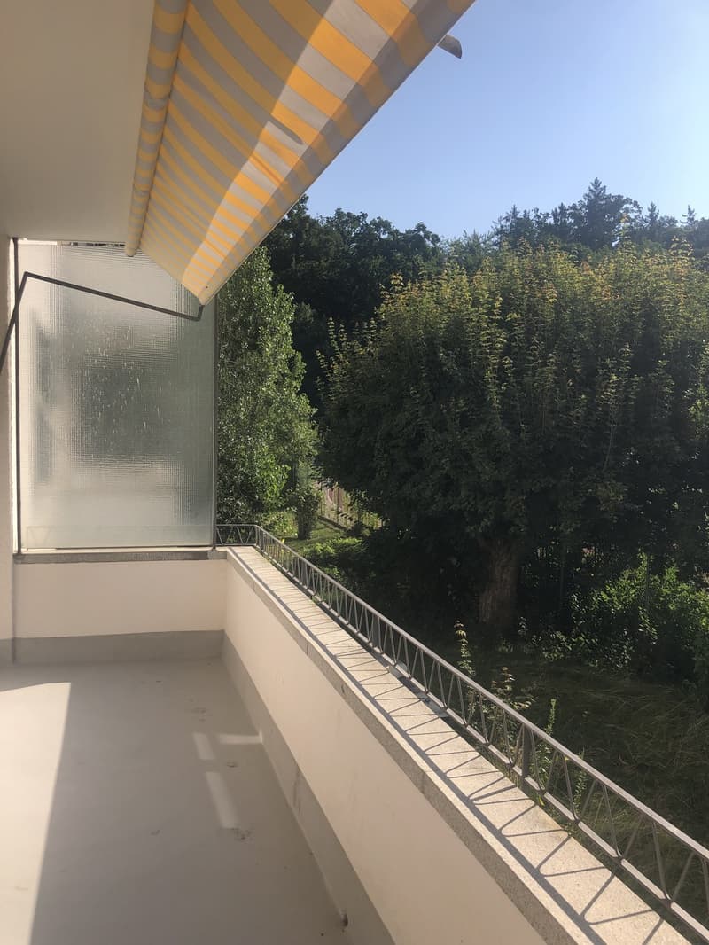 Nachmieter gesucht für die Wohnung mit Balkon (9)