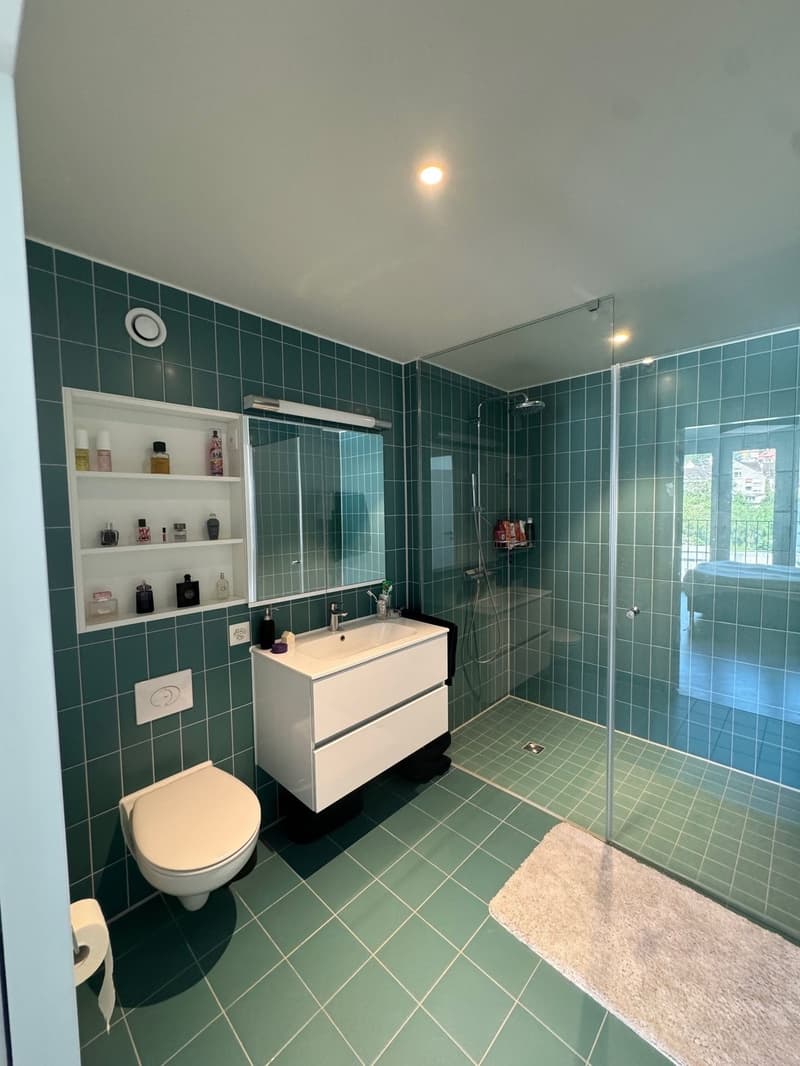 Nachmieter gesucht - Moderne 2.5-Zimmerwohnung (8)