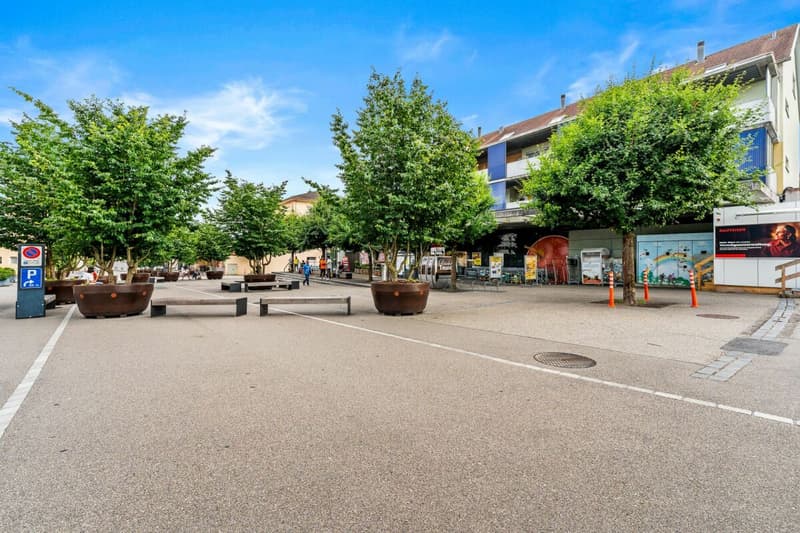DUPLEX-WOHNUNG AN BESTER LAGE (13)