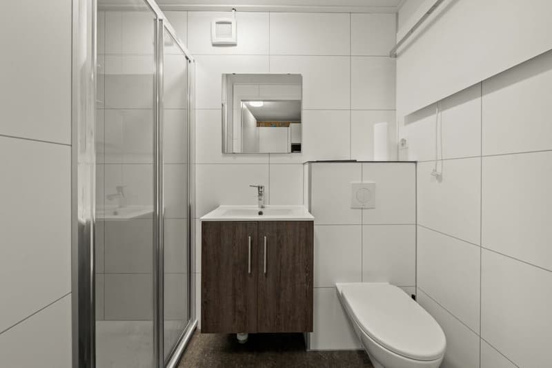 SCHLAU UND KOMPAKT - TINY HOUSE (8)