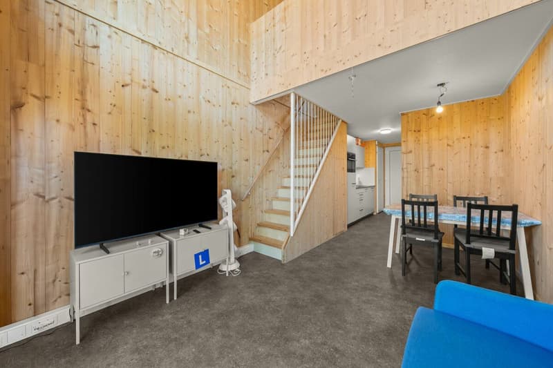 SCHLAU UND KOMPAKT - TINY HOUSE (5)
