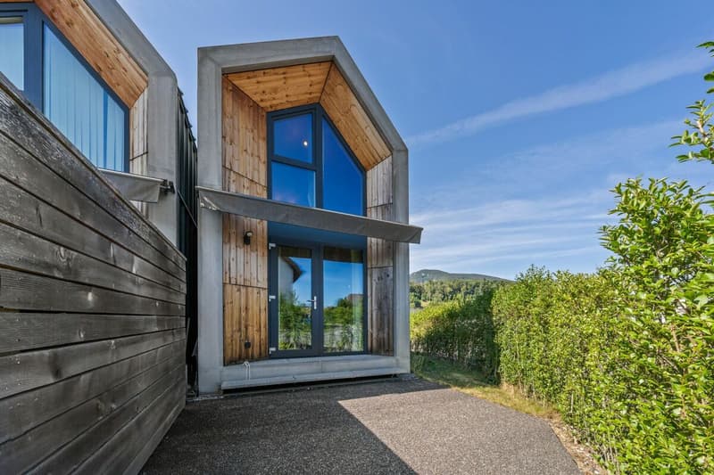 SCHLAU UND KOMPAKT - TINY HOUSE (3)