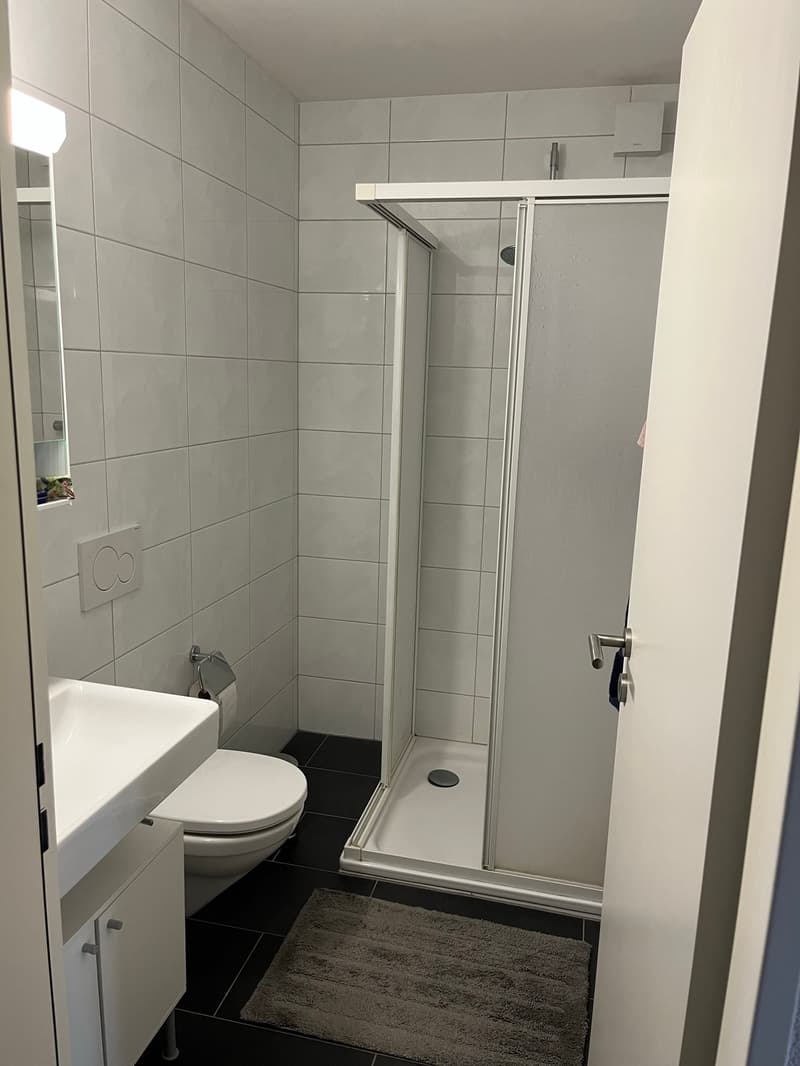 Schöne 2.5-Zimmerwohnung in Zentrumsnähe (3)