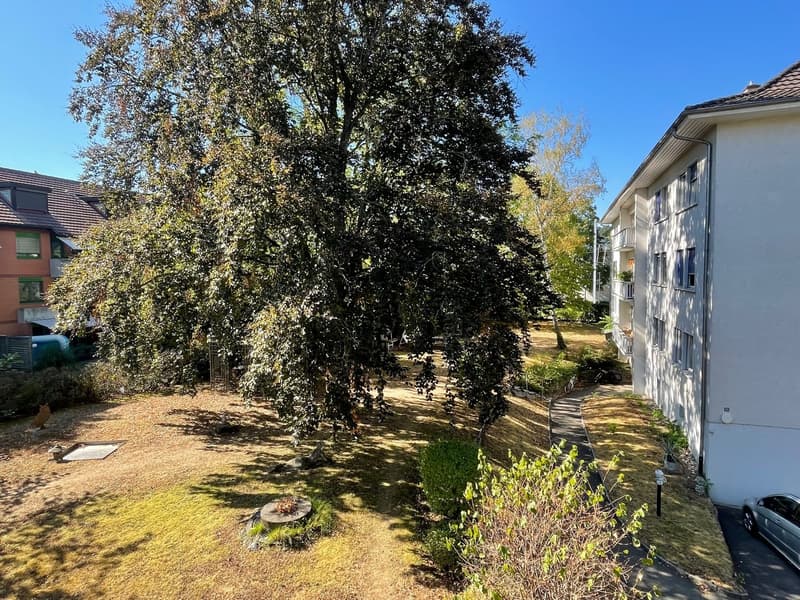 Gemeinschaftsgarten