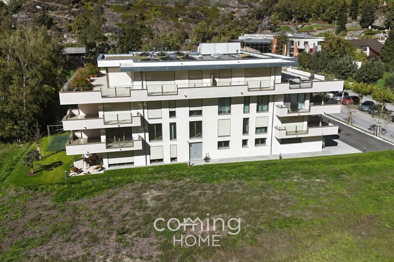 Living by the Thermal Spa - Modern 3.5-Bedroom Apartment with a South-East Exposure in Brigerbad (4)