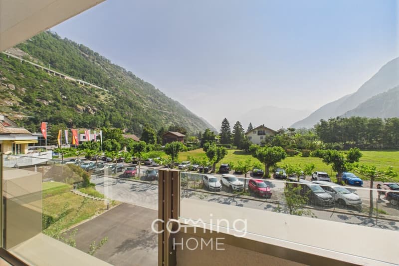 Brigerbad - Appartement confortable de 3,5 pièces bien desservi (2)