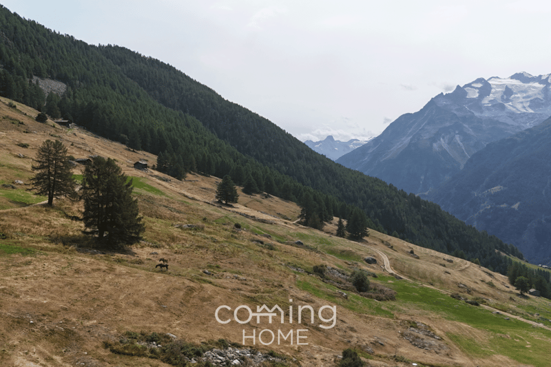 651 m² of building land in Gspon?an alpine mountain setting with stunning panoramic views (6)
