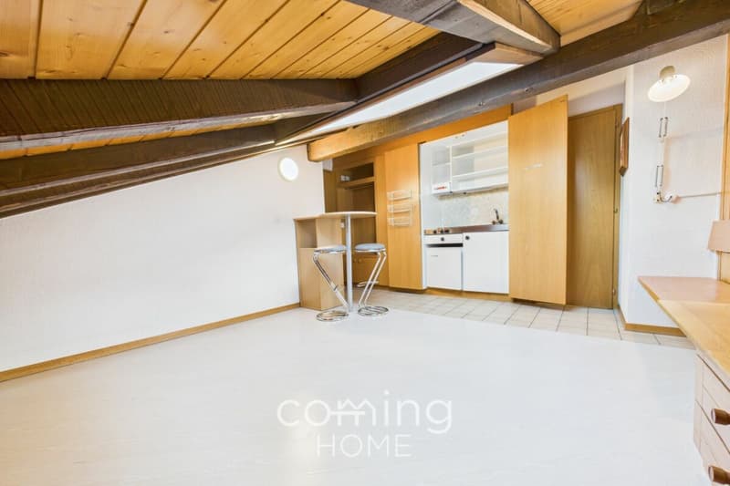 Studio in Turtmann - kompakt, mit Bahnanschluss und zentraler Lage (1)